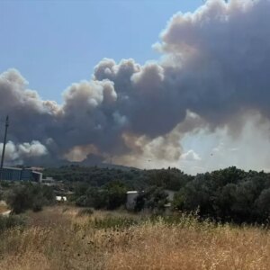 canakkalede orman yanginina mudahale lRAa4lDL