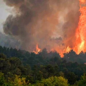 fransada tarihin en buyuk orman yangini 16 bin hektar kule dondu M8wATlCx