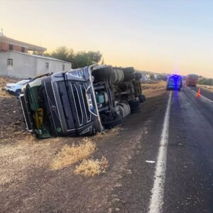 siverekte hayvan yuklu tir devrildi 2 yarali S7tivDbm