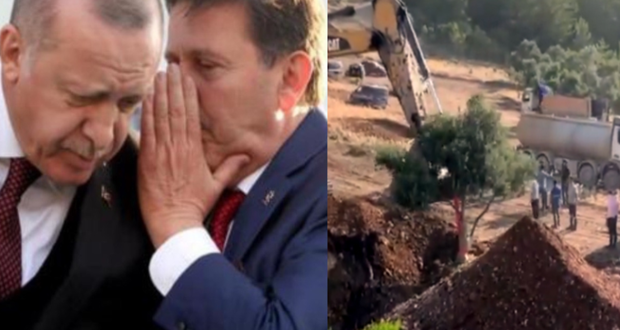 limak zeytin katliaminda akp li is insani ile birlikte BnuqUuNU