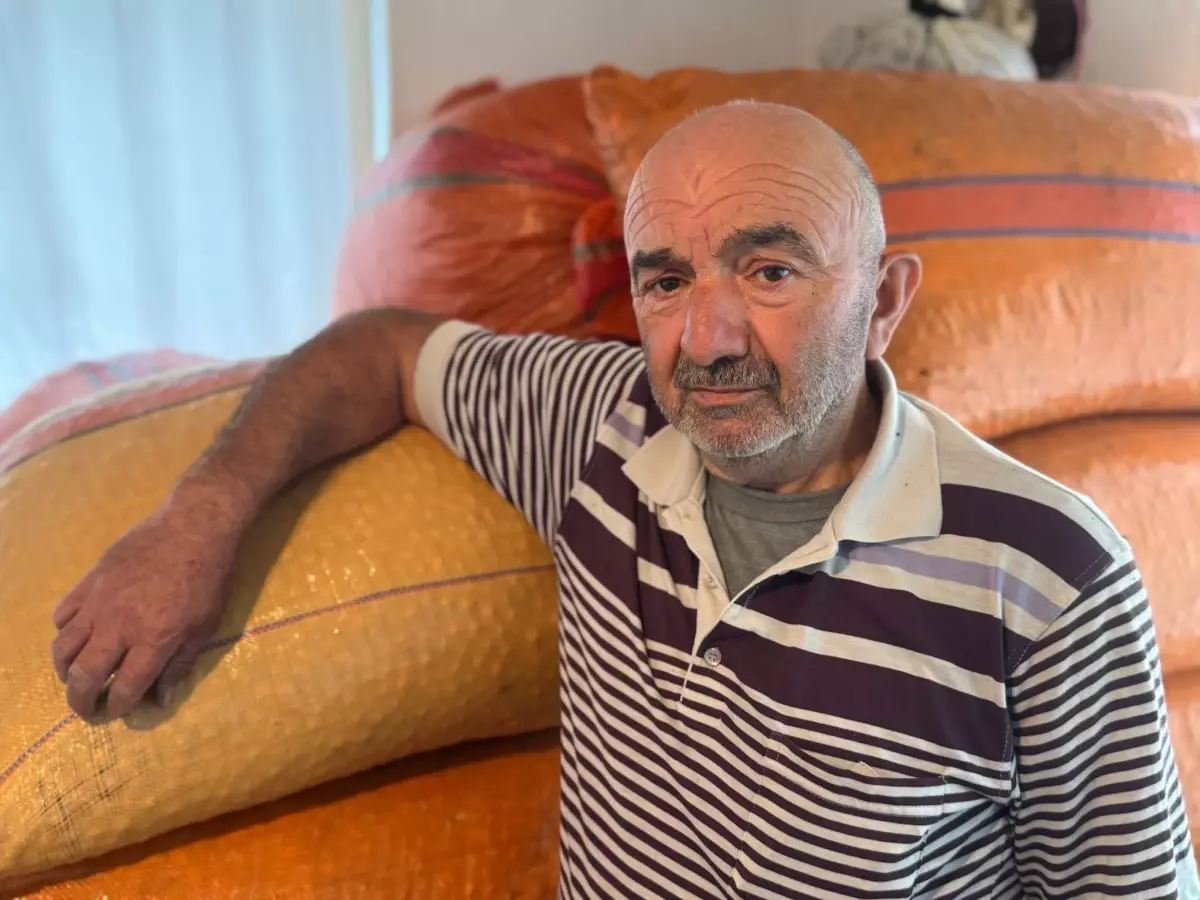 findik ureticisi beklemede hxq67G76.jpg