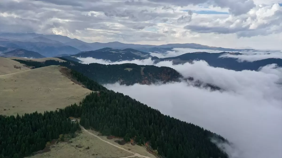 kumbet yaylasinda sis manzarasi 7psFtlaH.jpg