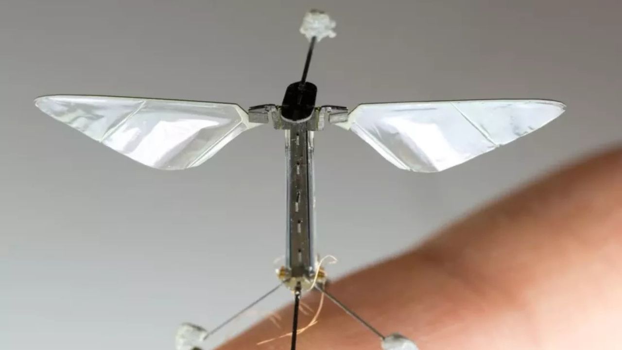 Haberiniz olmadan yanınıza konabilir: Sinek boyutunda drone gerçek oldu