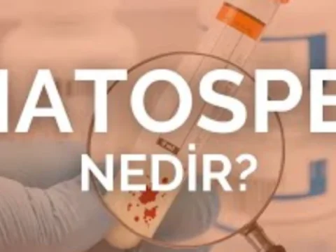 Kanda Sperm Görülmesi: Hematosperm Nedir ve Ne Zaman Tehdit Oluşturur?